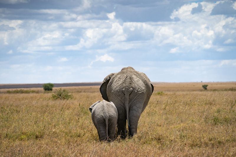 Autres conseils santé pour votre voyage au Kenya