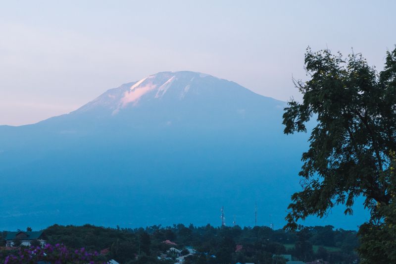 Safari photo au Kilimandjaro, plus haut sommet d’Afrique