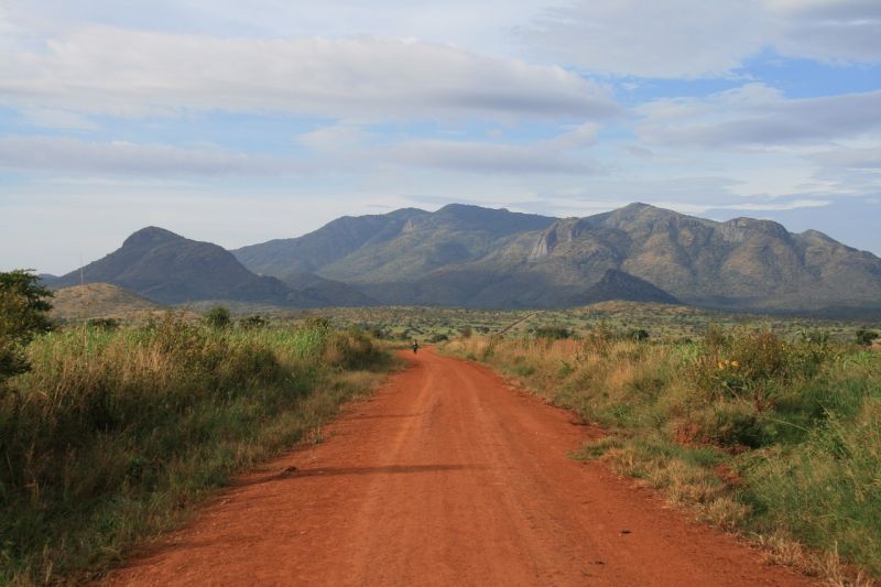 Quelle est la meilleure période pour un voyage de noces en Ouganda ? 