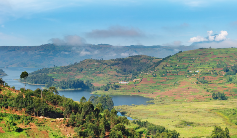 Faune et flore du Lac Bunyonyi