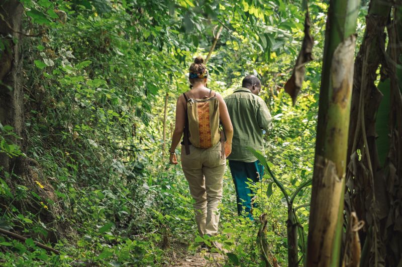 Visiter les plantations de bananes