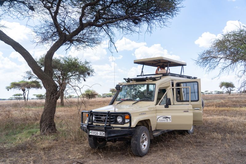 Explorer le Ndutu, une expérience immersive 