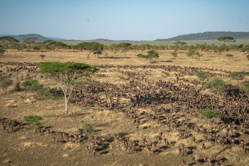 Quelles sont les activités à ne pas manquer au Ndutu 