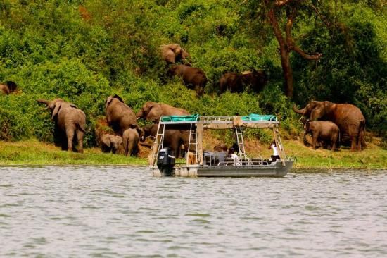 Vivre un safari sur l’eau