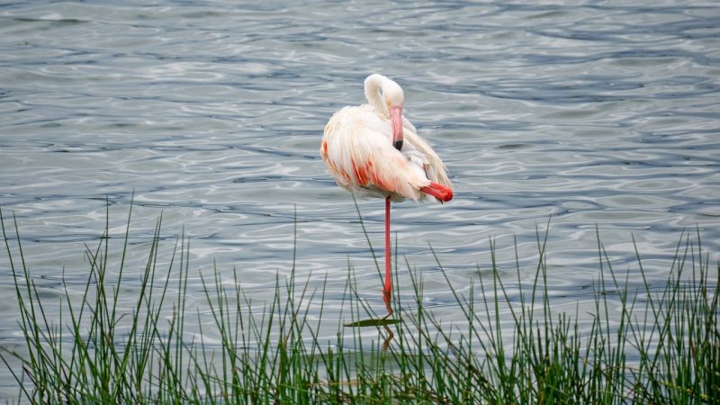 Le Lac Victoria, une destination captivante